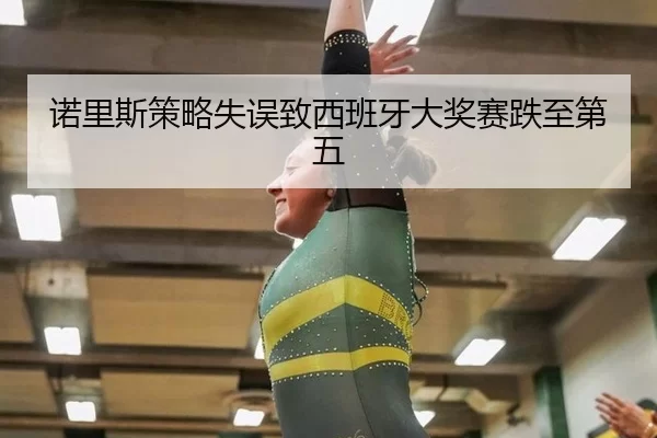 nuo-li-si-ce-lve-shi-wu-zhi-xi-ban-ya-da-jiang-sai-die-zhi-di-wu-2-117.jpg